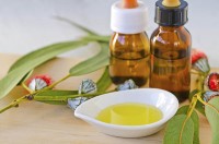 Beneficiile uleiului de eucalipt
